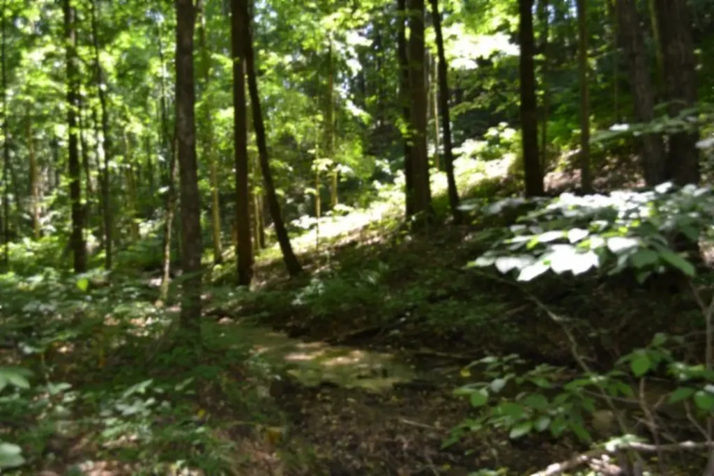 2390 Pea Ridge Fire Tower Road Celina TN 38551