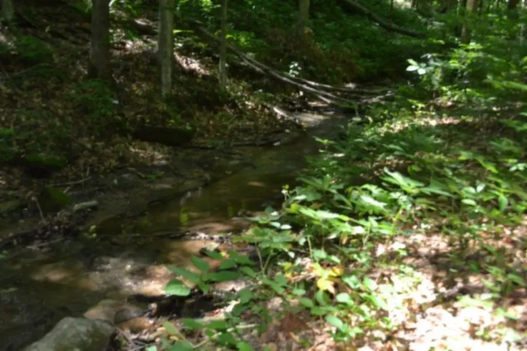 2390 Pea Ridge Fire Tower Road Celina TN 38551