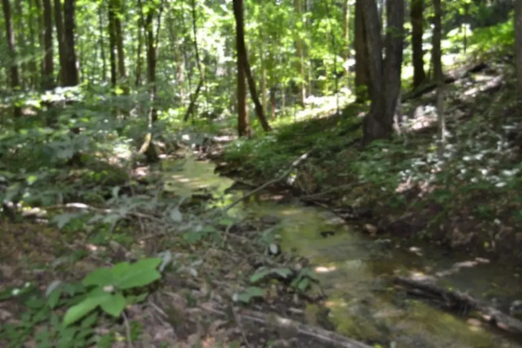 2390 Pea Ridge Fire Tower Road Celina TN 38551