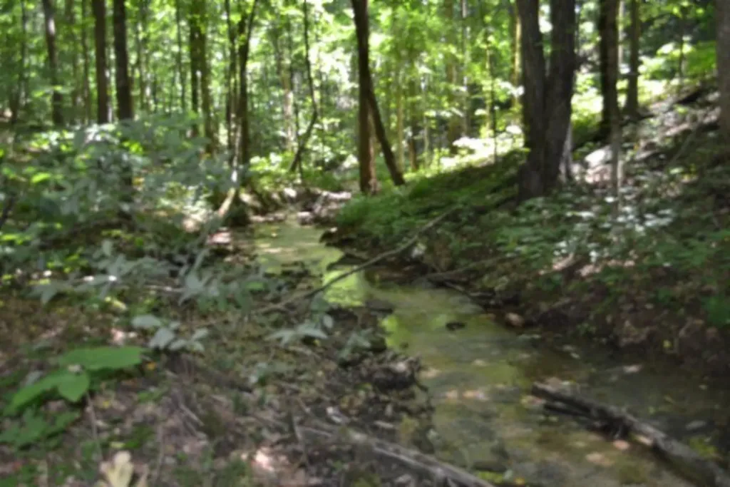 2390 Pea Ridge Fire Tower Road Celina TN 38551