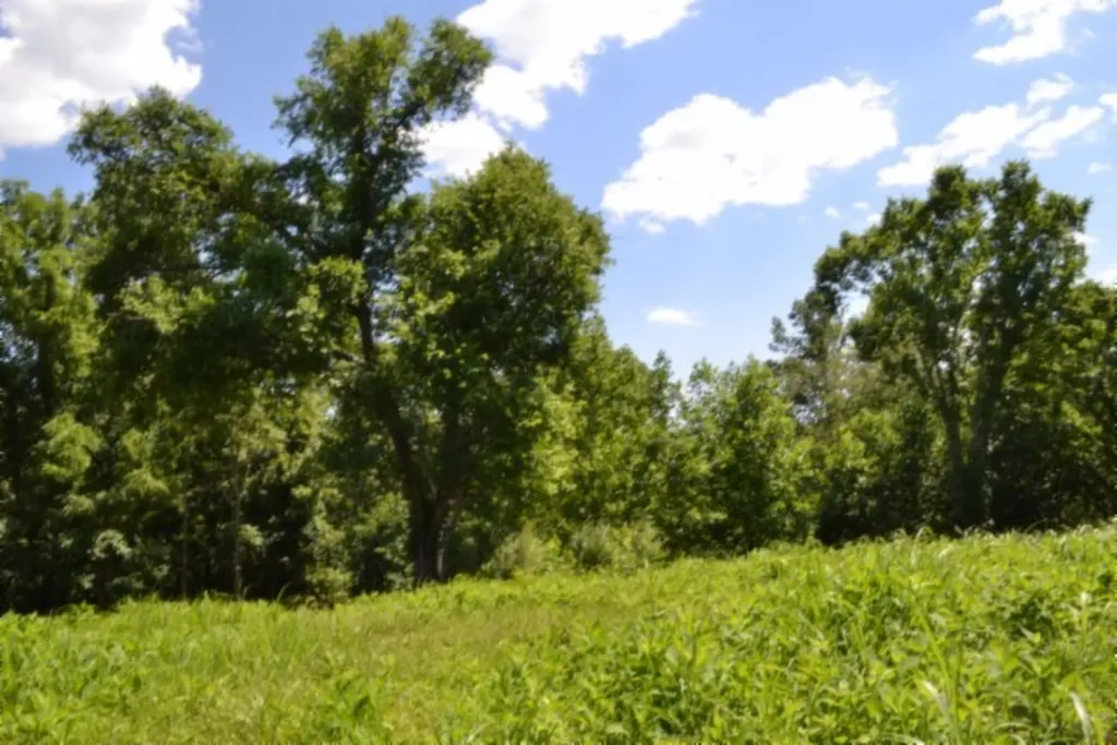 2390 Pea Ridge Fire Tower Road Celina TN 38551