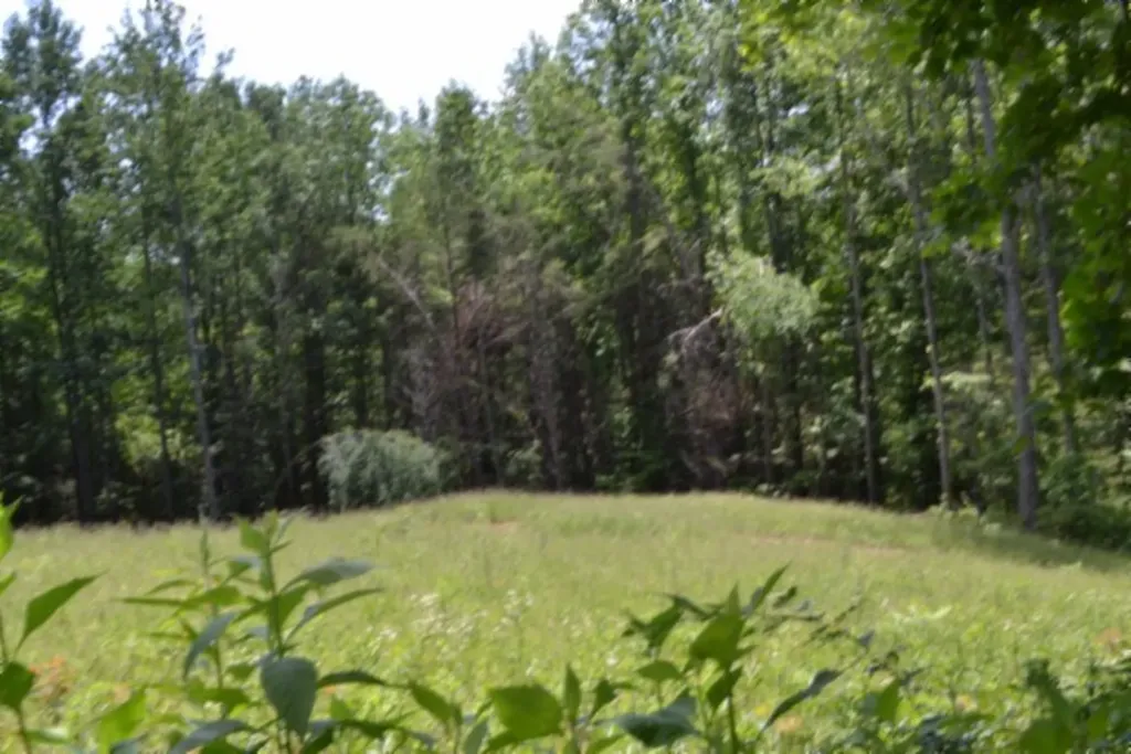 2390 Pea Ridge Fire Tower Road Celina TN 38551