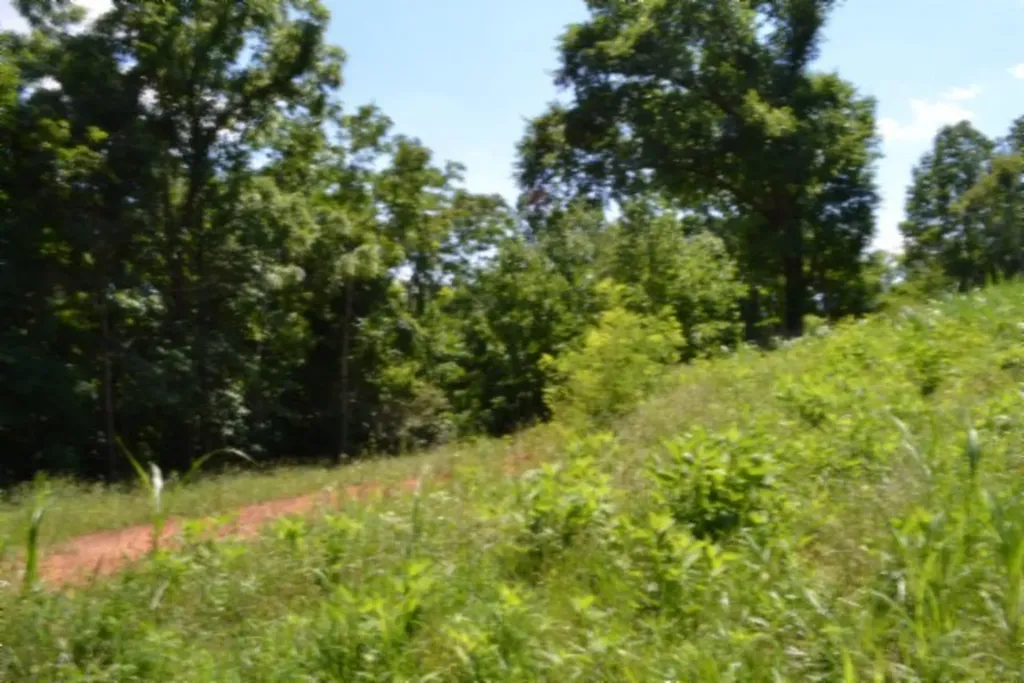 2390 Pea Ridge Fire Tower Road Celina TN 38551