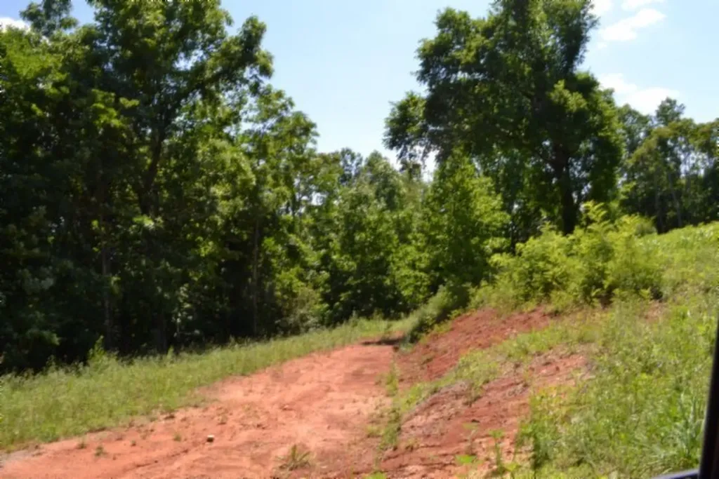 2390 Pea Ridge Fire Tower Road Celina TN 38551