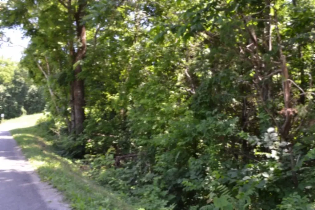 2390 Pea Ridge Fire Tower Road Celina TN 38551
