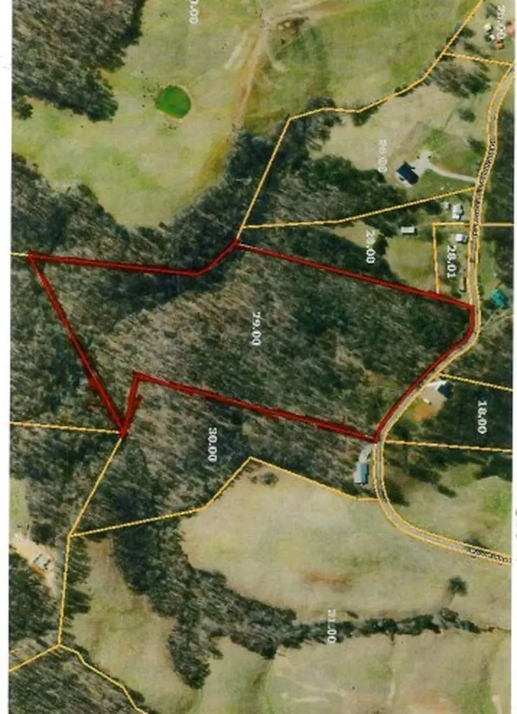 2390 Pea Ridge Fire Tower Road Celina TN 38551