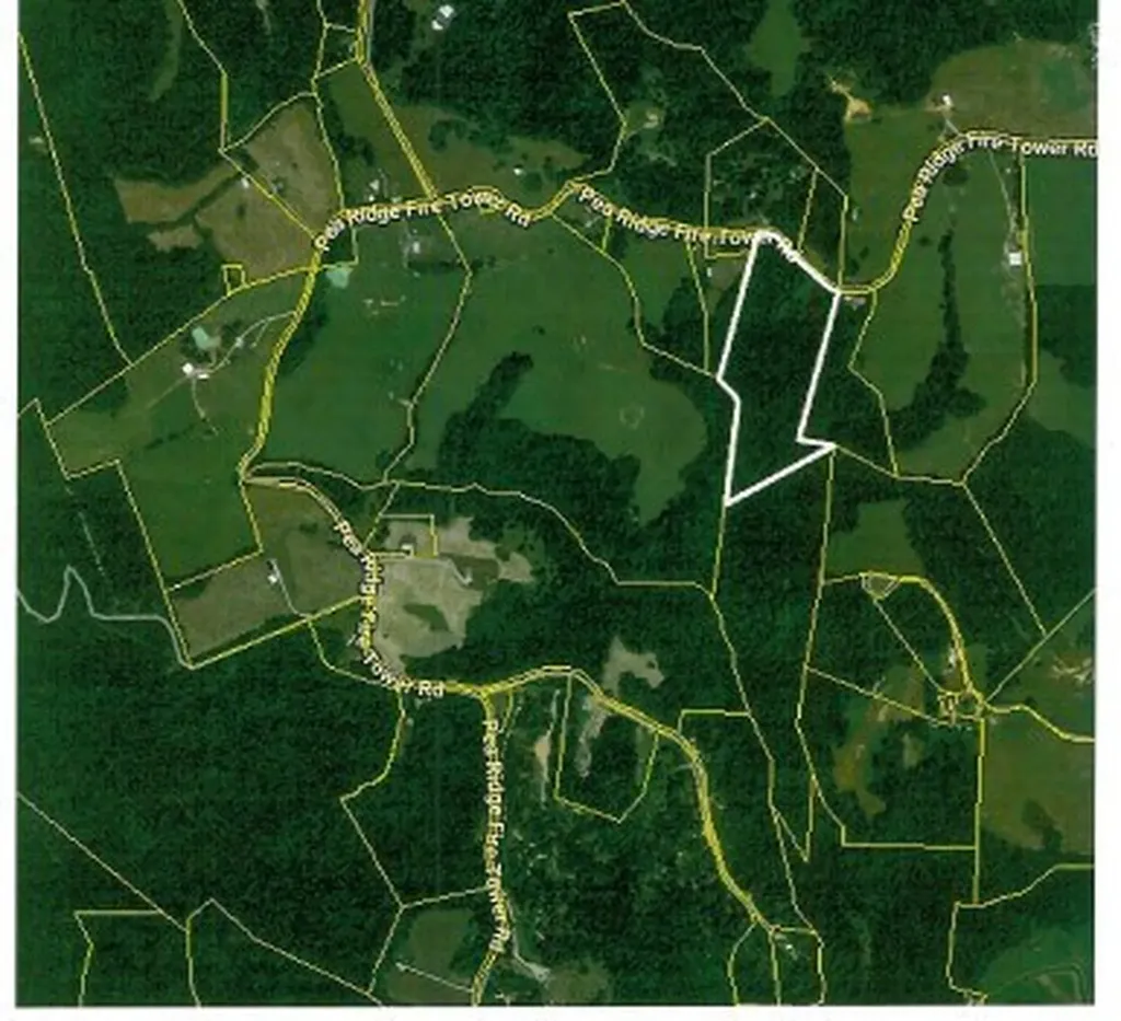 2390 Pea Ridge Fire Tower Road Celina TN 38551