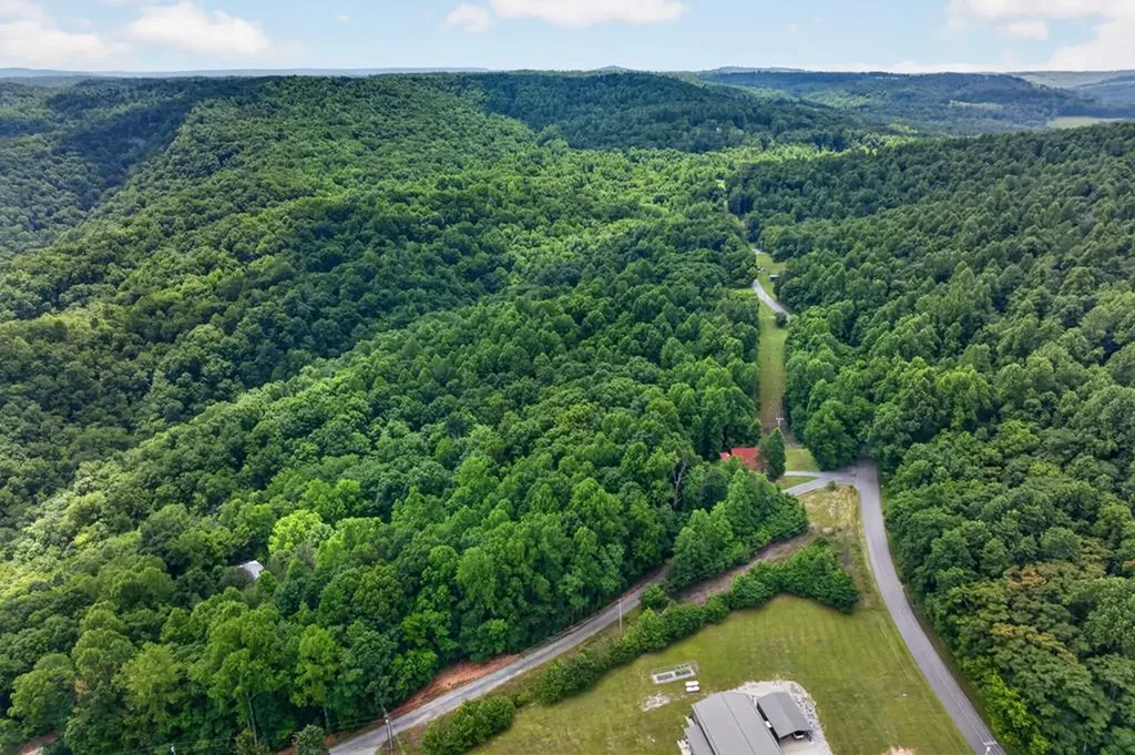 802 Livingston Boat Dock Road Allons TN 38541