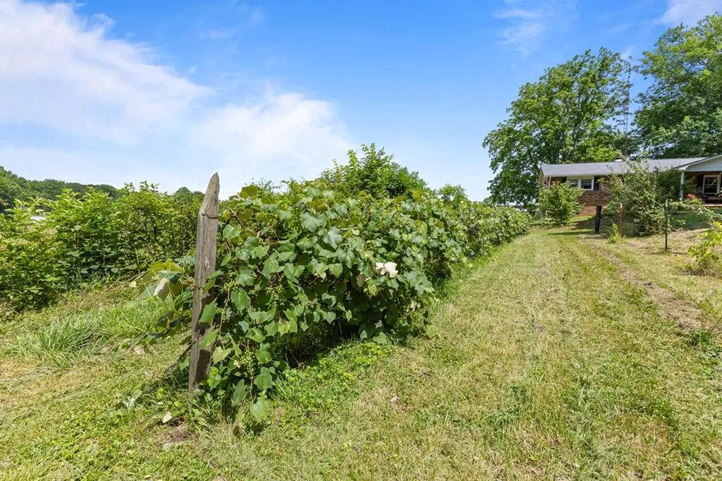 2652 Pickett Park Highway Jamestown TN 38556