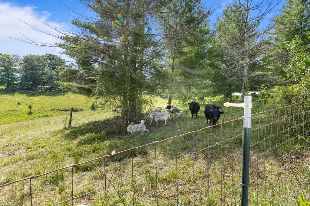 2652 Pickett Park Highway Jamestown TN 38556