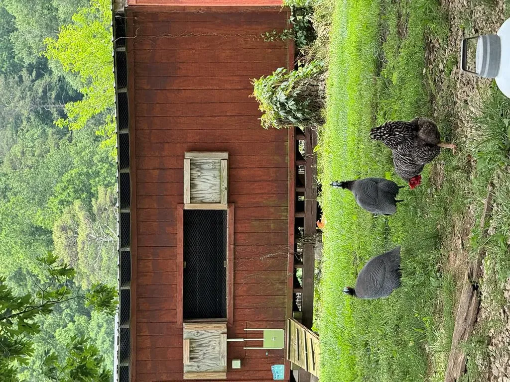 2652 Pickett Park Highway Jamestown TN 38556