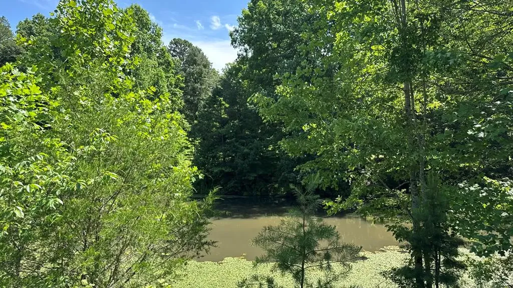 2652 Pickett Park Highway Jamestown TN 38556