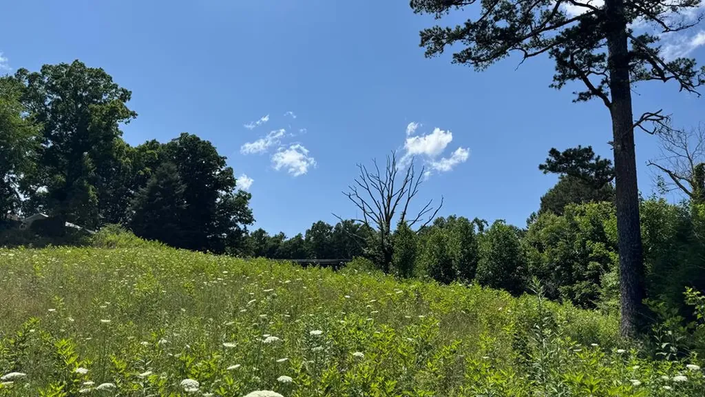 2652 Pickett Park Highway Jamestown TN 38556