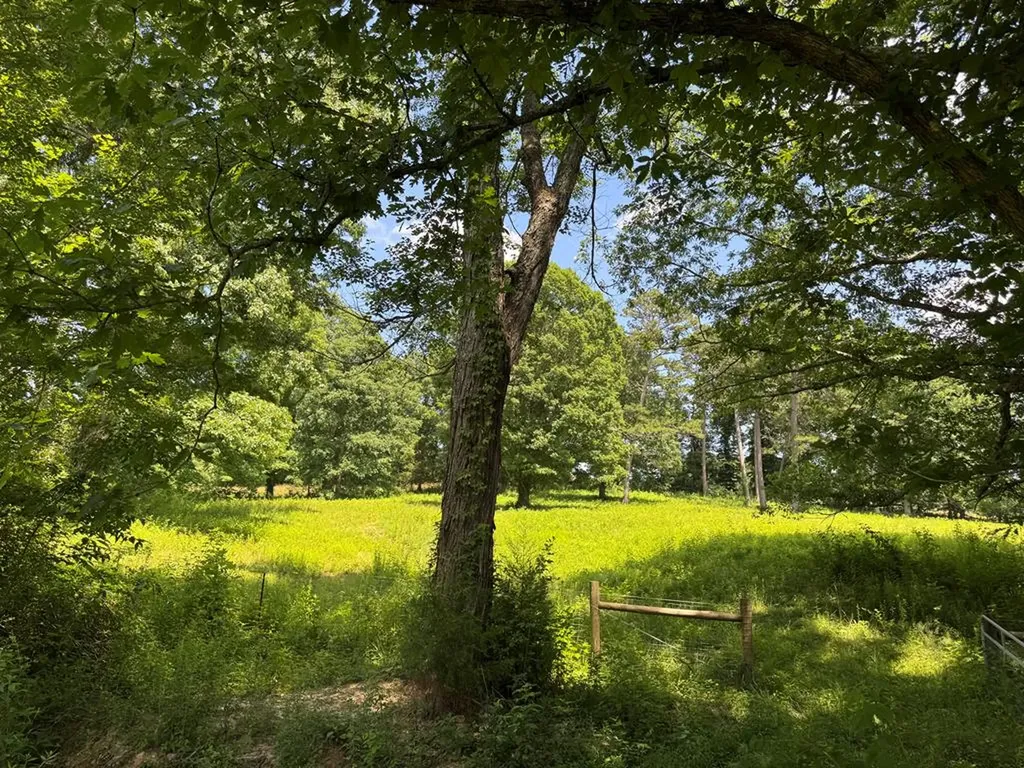 2652 Pickett Park Highway Jamestown TN 38556