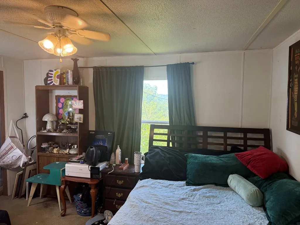 242 Lynch Lane Gainesboro TN 38562