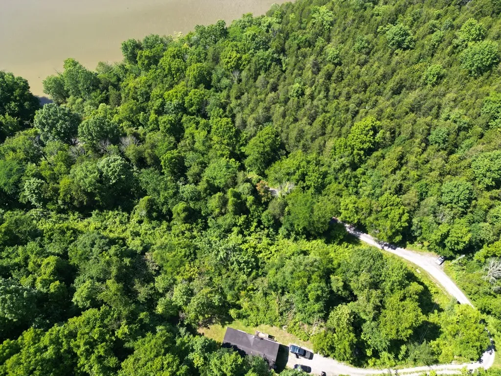 242 Lynch Lane Gainesboro TN 38562