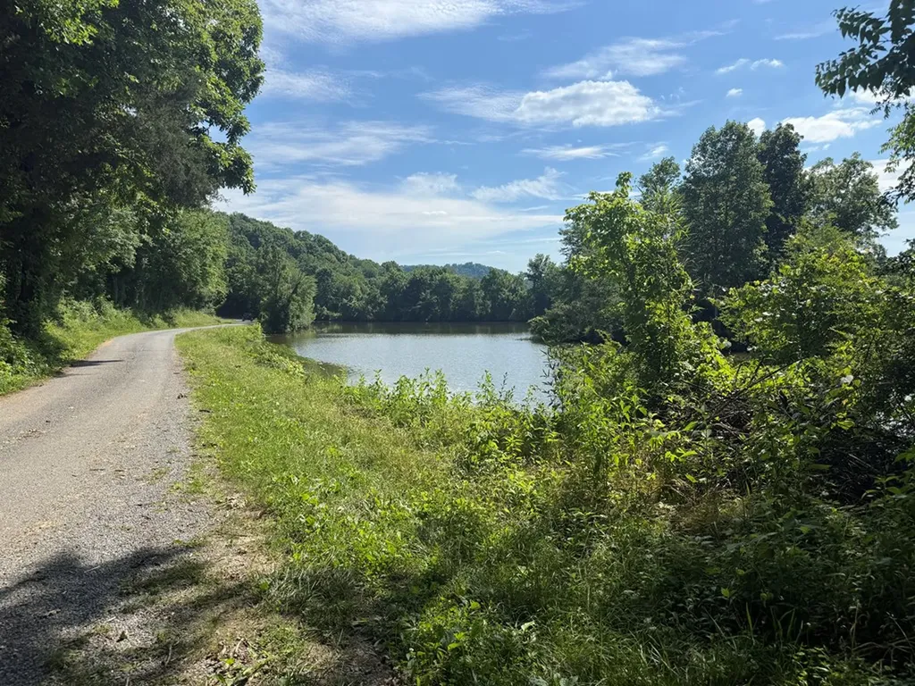242 Lynch Lane Gainesboro TN 38562