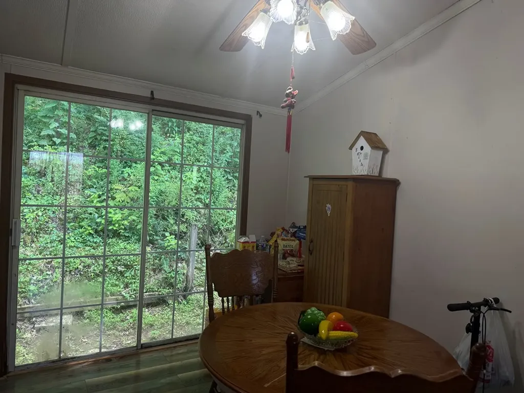 242 Lynch Lane Gainesboro TN 38562