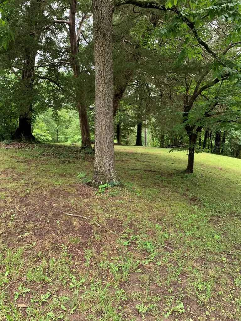 2115 Wildwood Drive Cookeville TN 38501