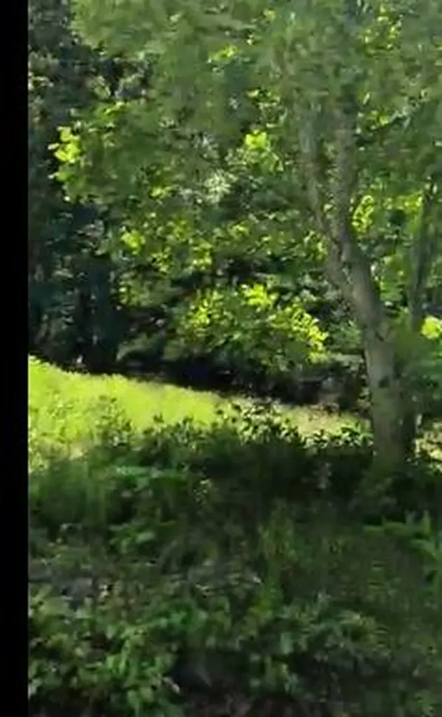 0 Bridge Water Road Spencer TN 38585