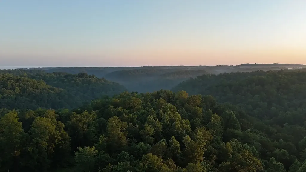 344 Runaway Lane Gainesboro TN 38562