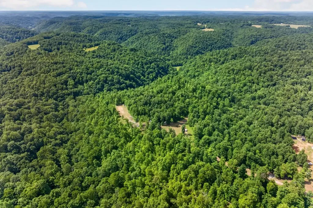 344 Runaway Lane Gainesboro TN 38562