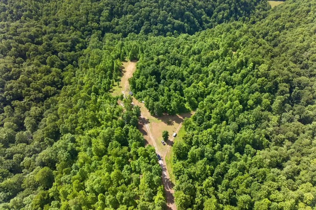 344 Runaway Lane Gainesboro TN 38562