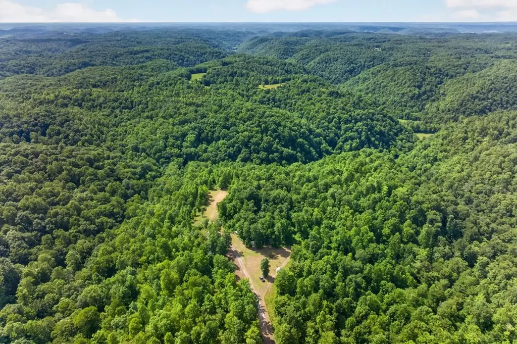 344 Runaway Lane Gainesboro TN 38562