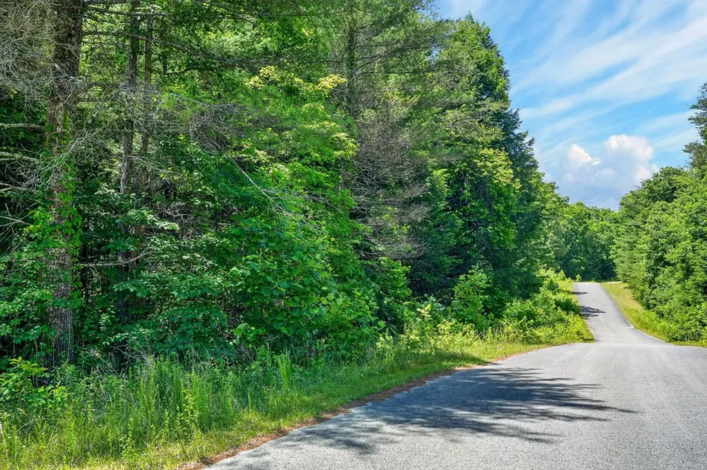 0 Shotgun Annie Road Jamestown TN 38556