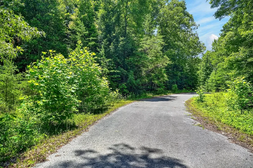 0 Shotgun Annie Road Jamestown TN 38556