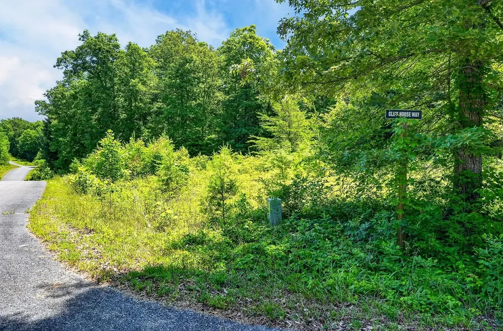 0 Shotgun Annie Road Jamestown TN 38556
