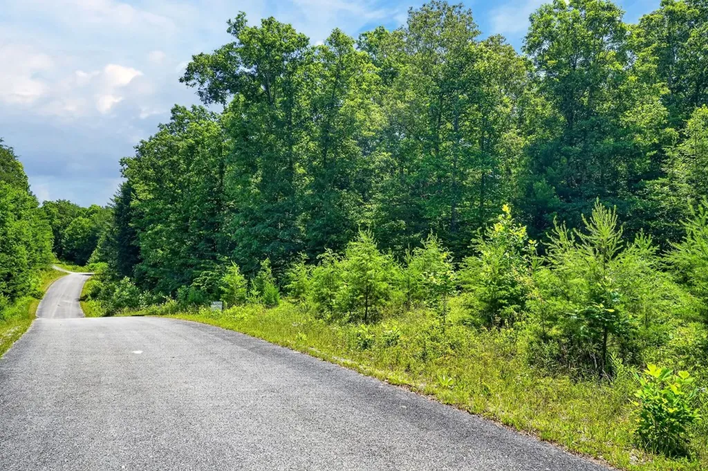 0 Shotgun Annie Road Jamestown TN 38556