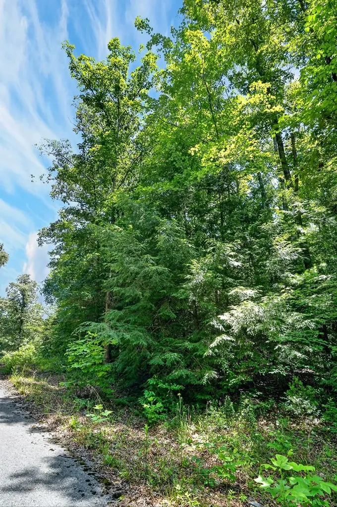 0 Shotgun Annie Road Jamestown TN 38556
