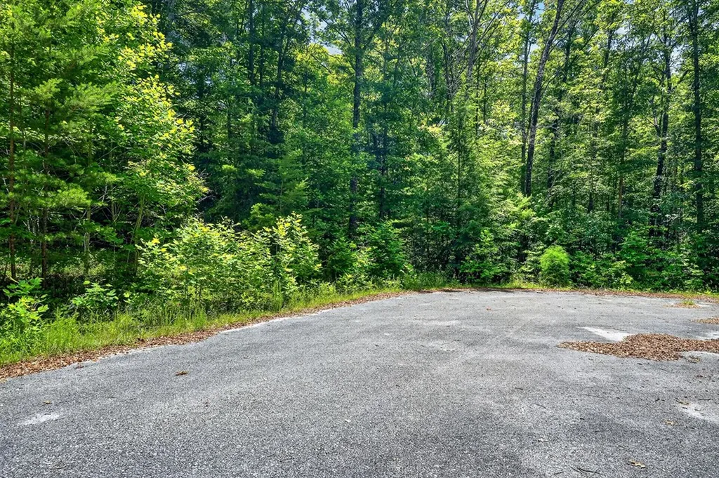 0 Shotgun Annie Road Jamestown TN 38556