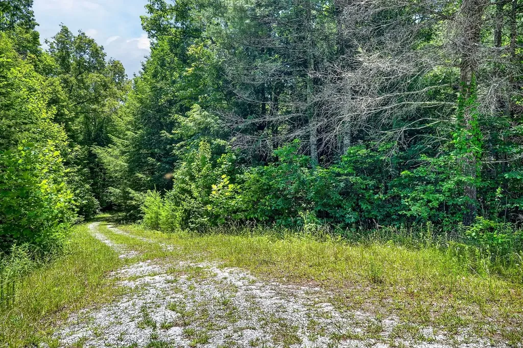0 Shotgun Annie Road Jamestown TN 38556