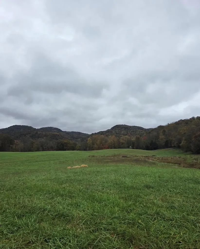 1768 Wilder Highway Crawford TN 38554