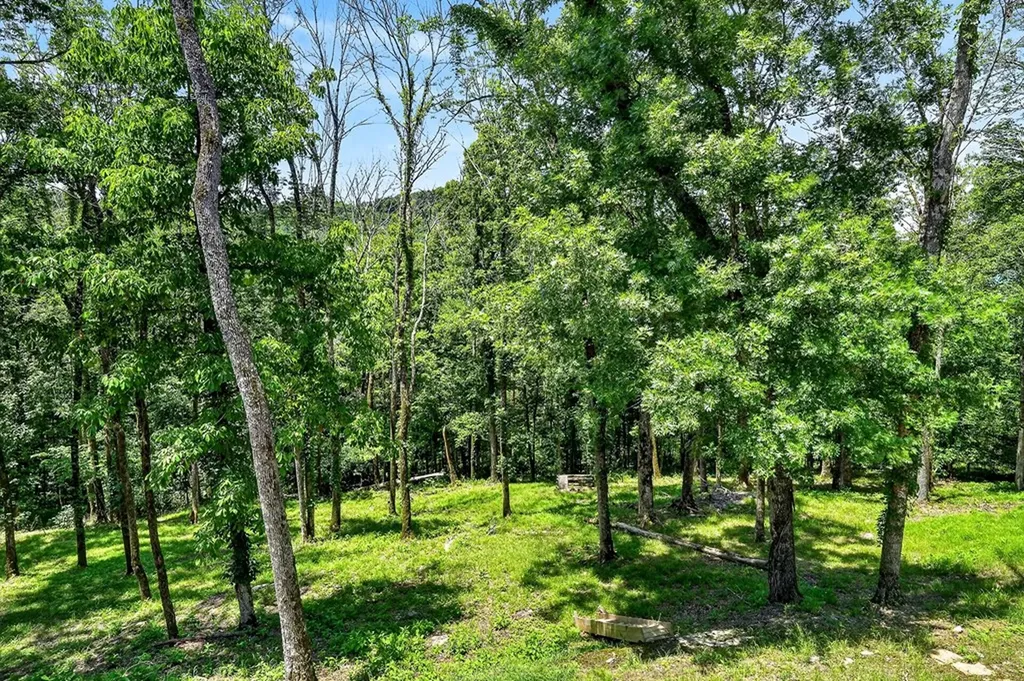 193 Wilson Circle Smithville TN 37166