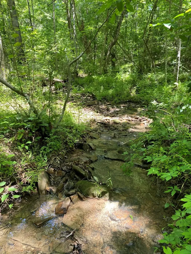 118 Cherokee Road Spencer TN 38585
