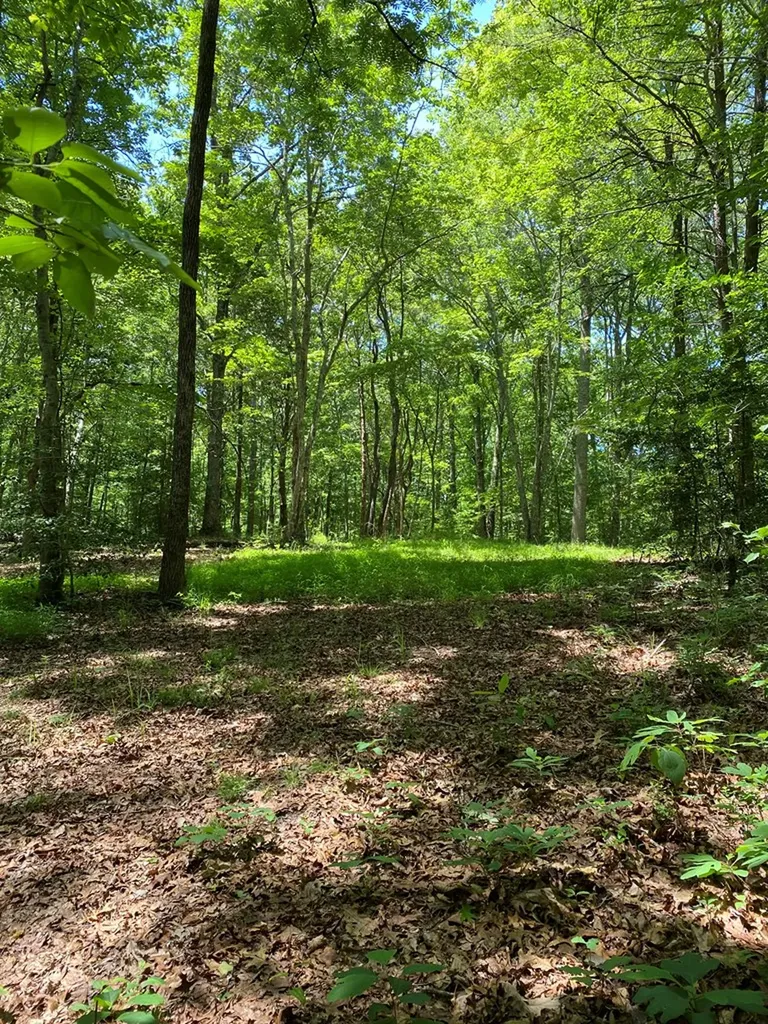 118 Cherokee Road Spencer TN 38585