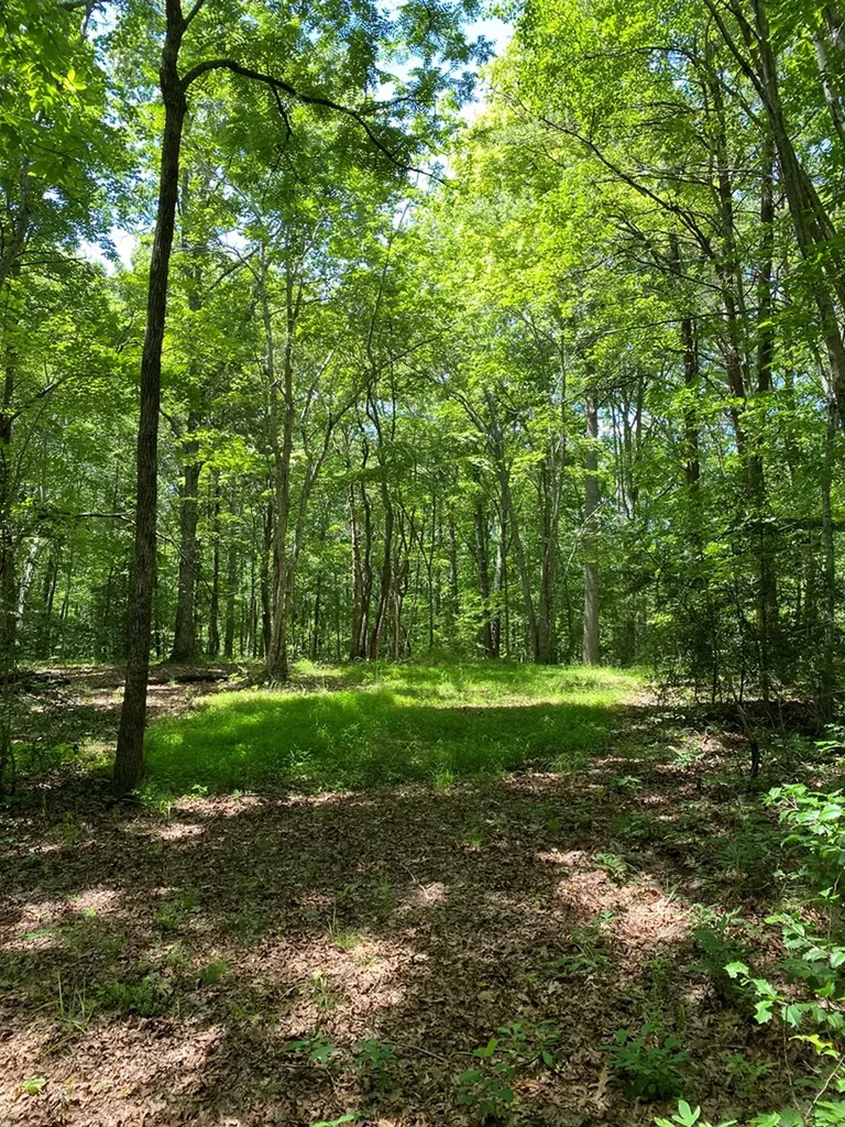 118 Cherokee Road Spencer TN 38585