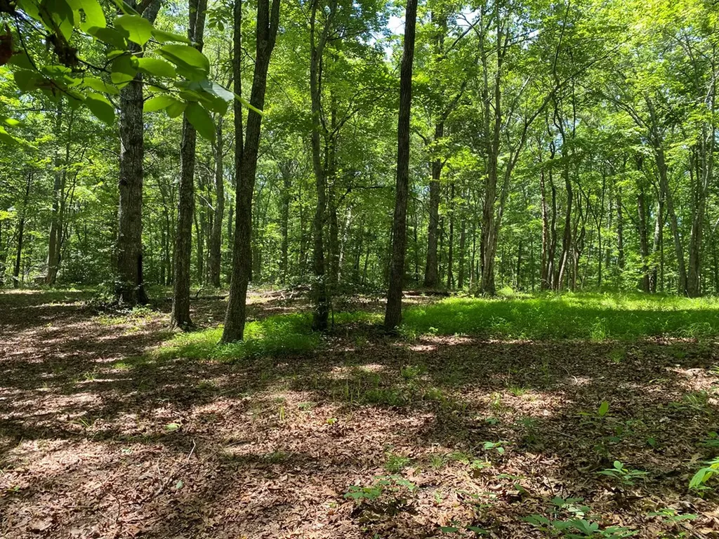 118 Cherokee Road Spencer TN 38585