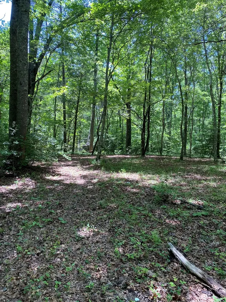 118 Cherokee Road Spencer TN 38585
