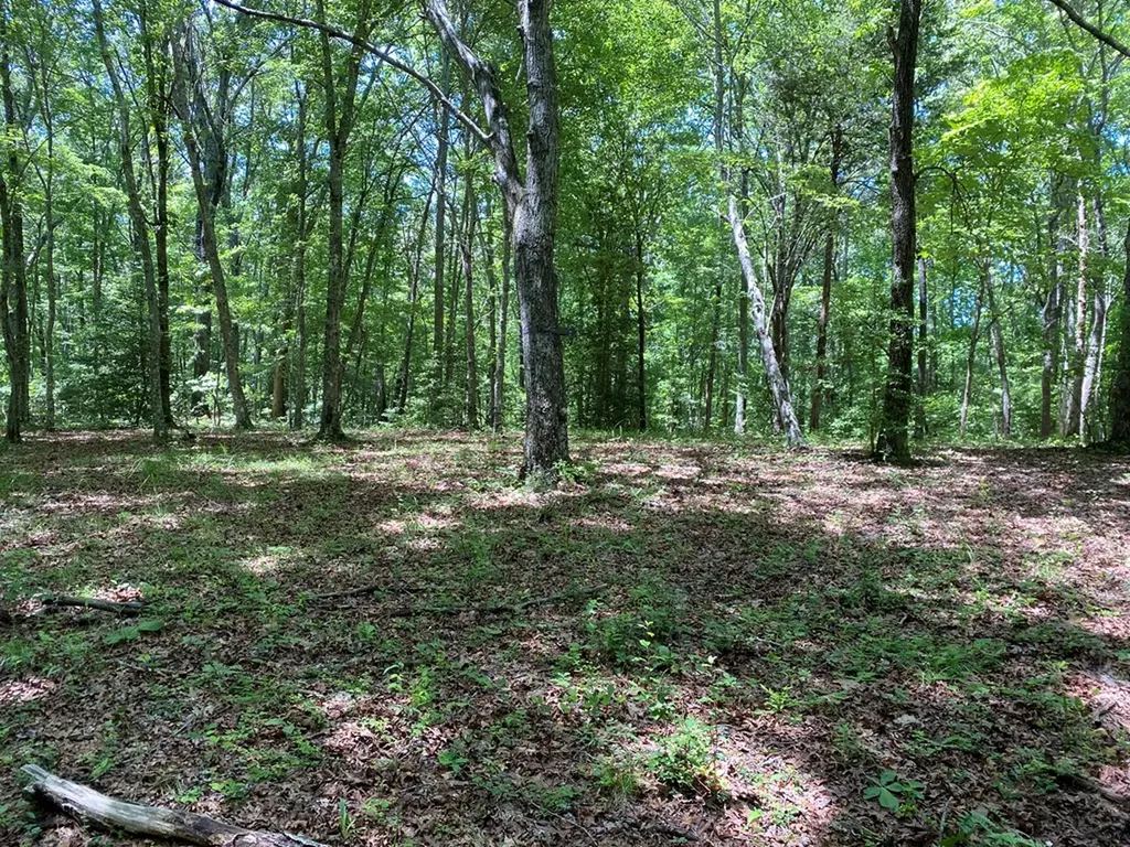 118 Cherokee Road Spencer TN 38585