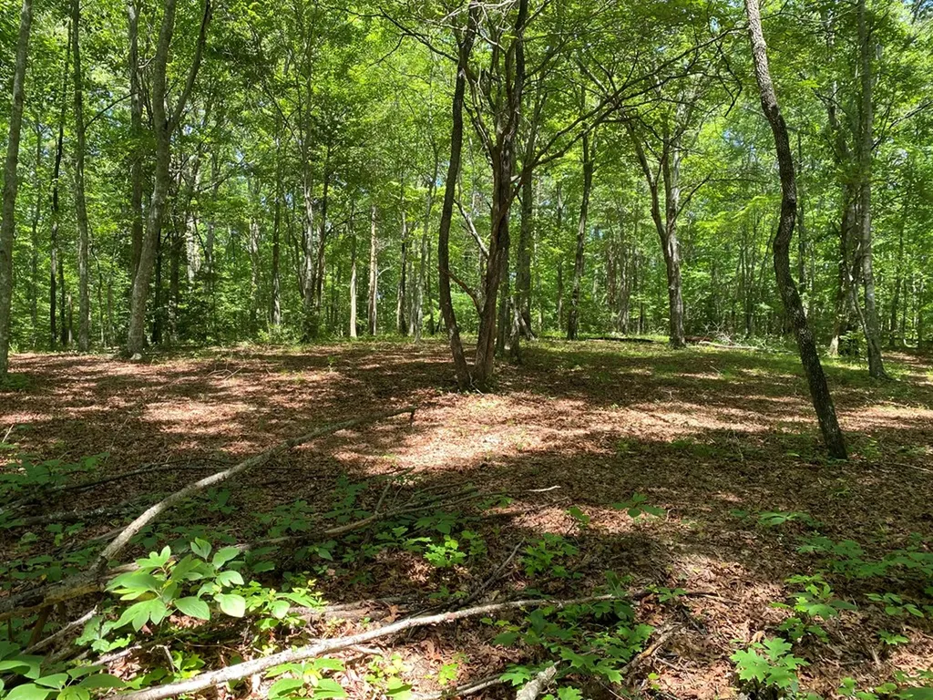 118 Cherokee Road Spencer TN 38585