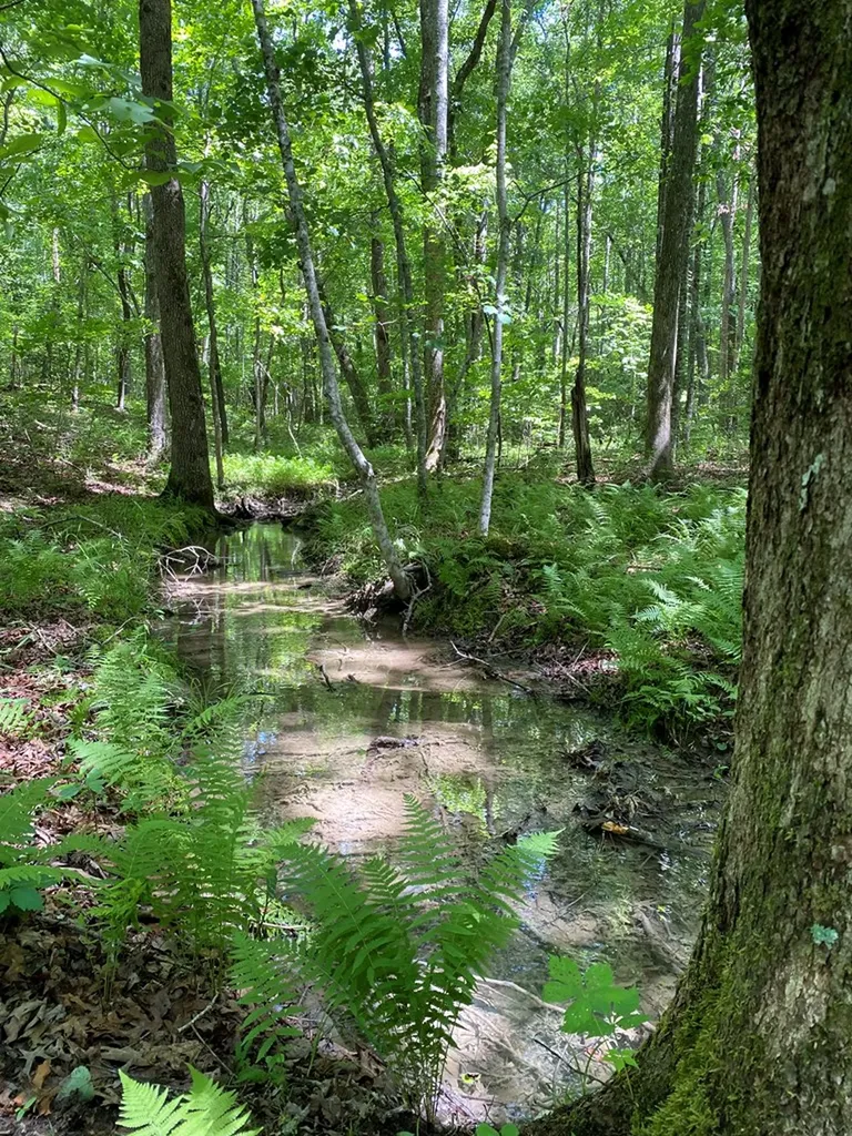 118 Cherokee Road Spencer TN 38585