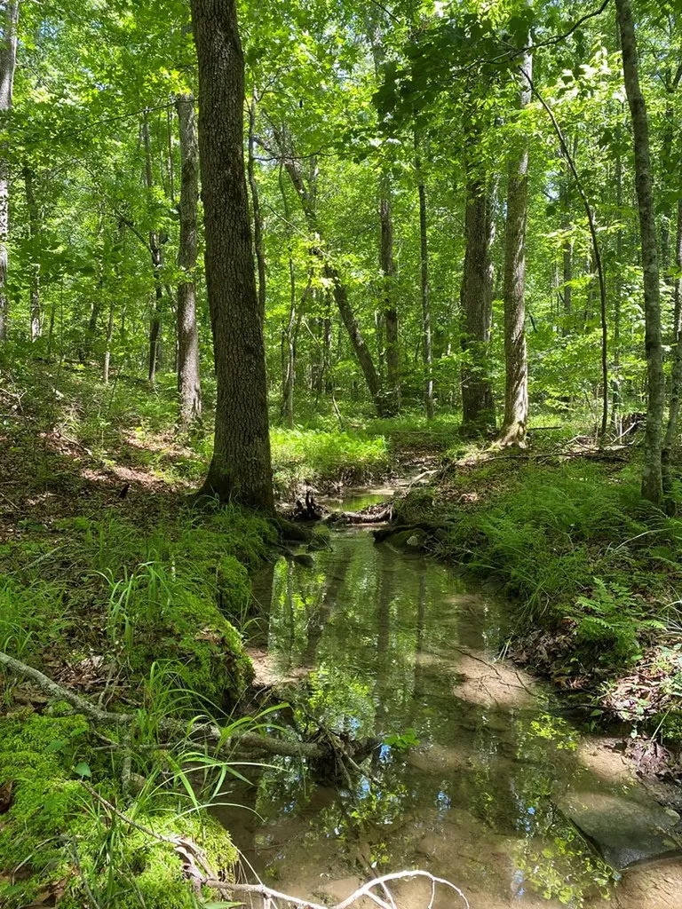 118 Cherokee Road Spencer TN 38585