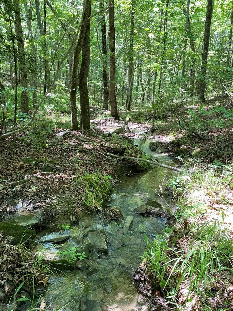 118 Cherokee Road Spencer TN 38585