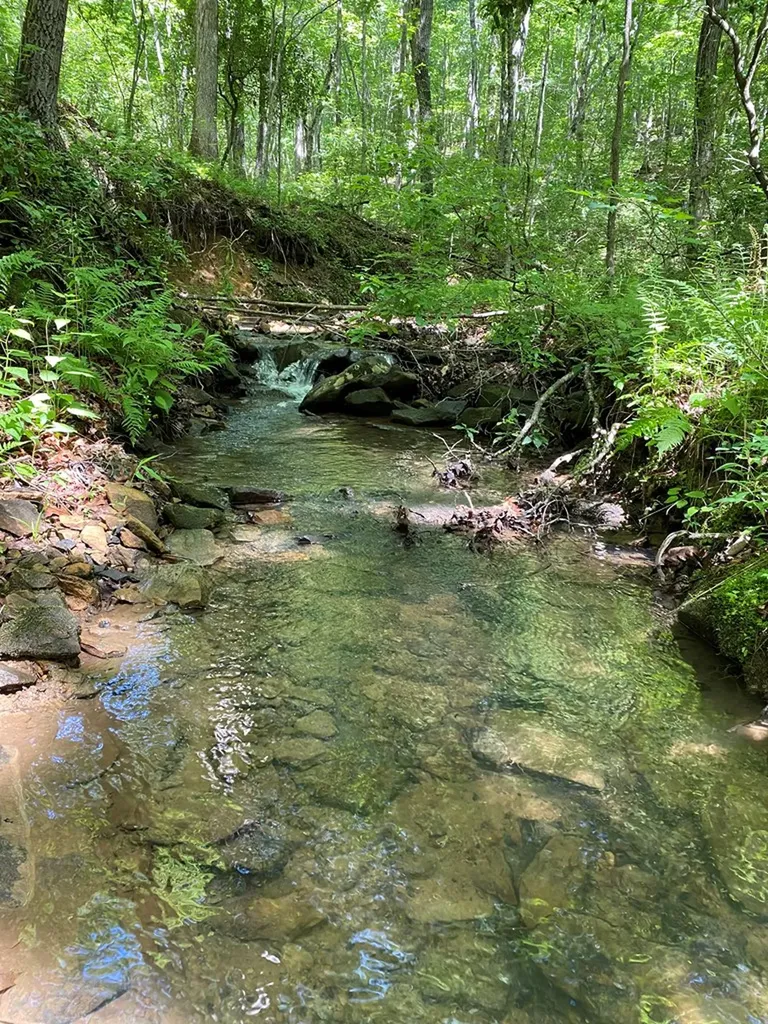 118 Cherokee Road Spencer TN 38585