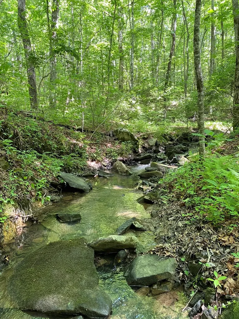 118 Cherokee Road Spencer TN 38585