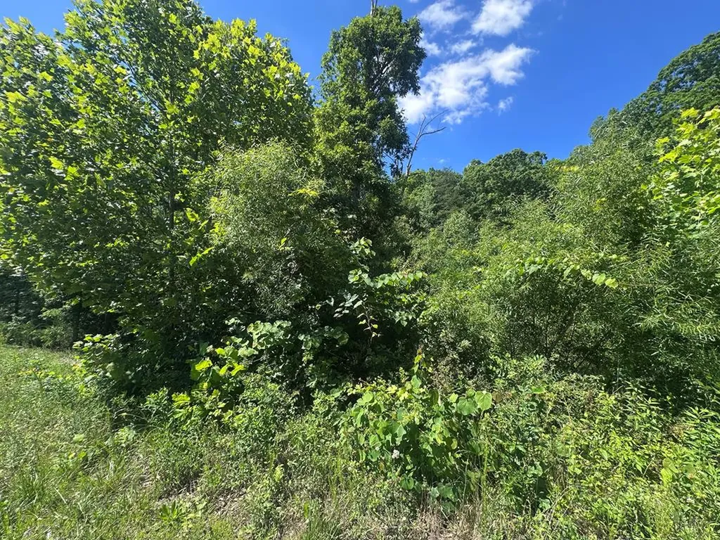 1020 Tomahawk Road Jamestown TN 38556